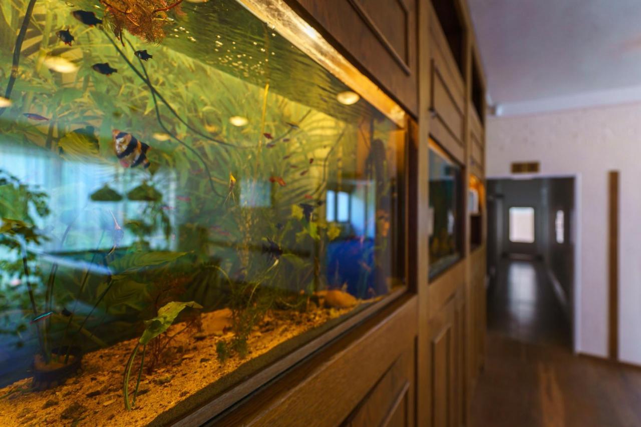 Hotel Hladina Nebrich ภายนอก รูปภาพ
